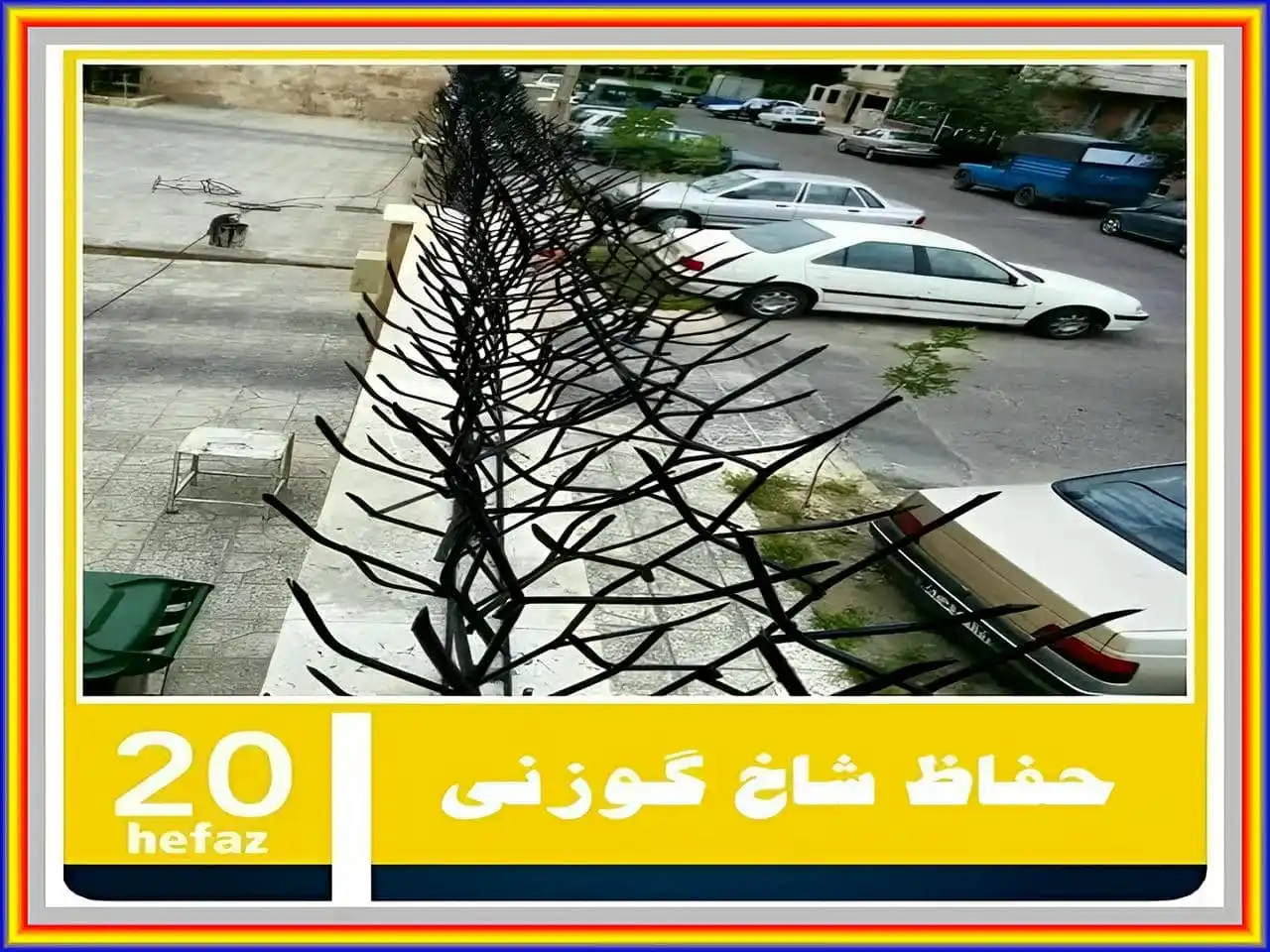 خرید اینترنتی حفاظ شاخ گوزنی