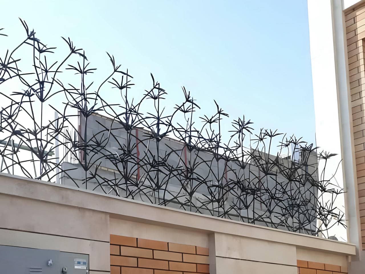 حفاظ نخل مرداب | حفاظ 20 حفاظ نخل مرداب