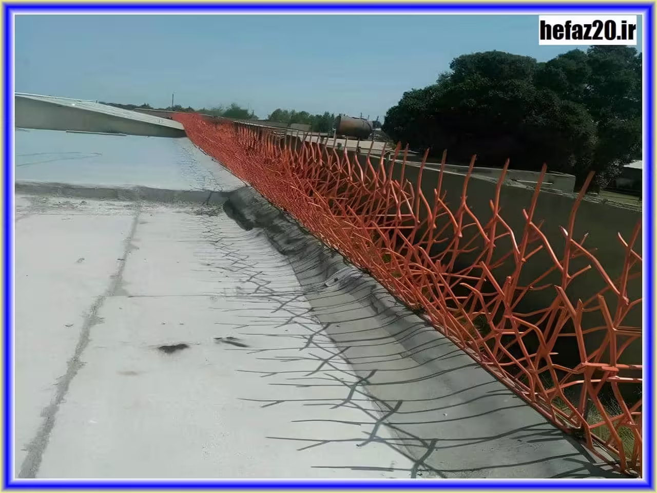 حفاظ شاخ گوزنی