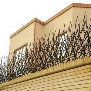 حفاظ بوته ای تراکم 67