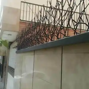 حفاظ شاخ گوزنی تراکم ۳۴