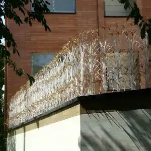 حفاظ لیلیوم