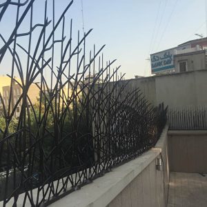 حفاظ نیزار