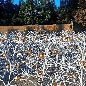 حفاظ گل آفتابگردان