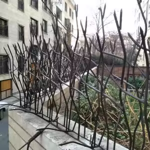 خرید و تولید حفاظ شاخ گوزنی