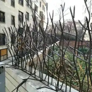 خرید و تولید حفاظ شاخ گوزنی