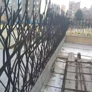 حفاظ شاخ گوزنی چیست؟