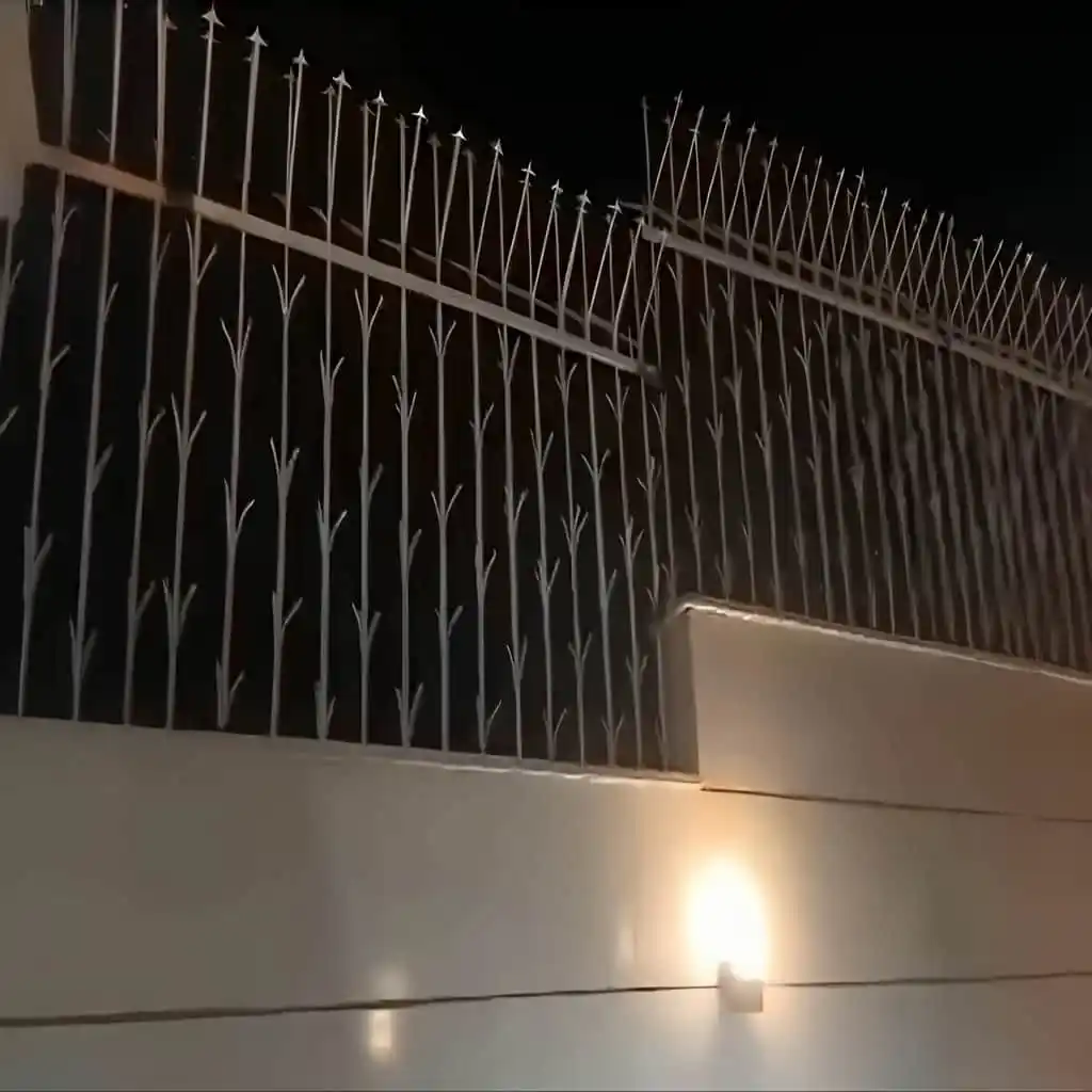 نمای نزدیک گل&zwnj;ها و شاخک&zwnj;های حفاظ شمشادی در رنگ طلایی