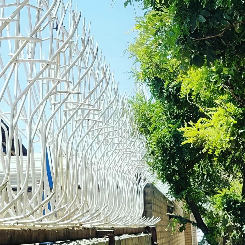 خرید حفاظ شاخ گوزنی بازدید اولیه در رفسنجان