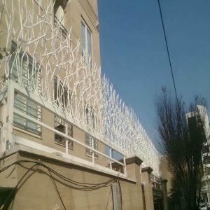 حفاظ شاخ گوزنی در محمدشهر