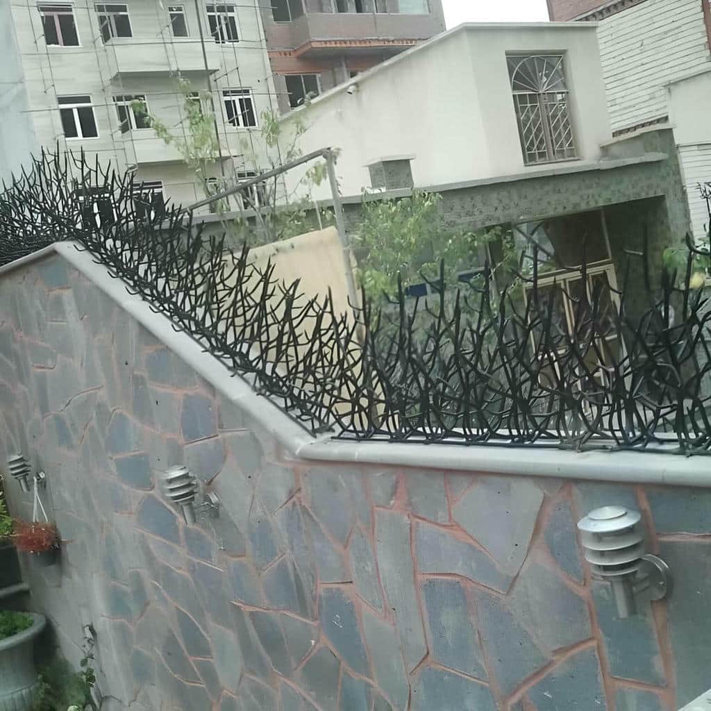 فروش حفاظ شاخ گوزنی با یراق مقاوم در قائمشهر فروش حفاظ شاخ گوزنی با یراق مقاوم در قائمشهر