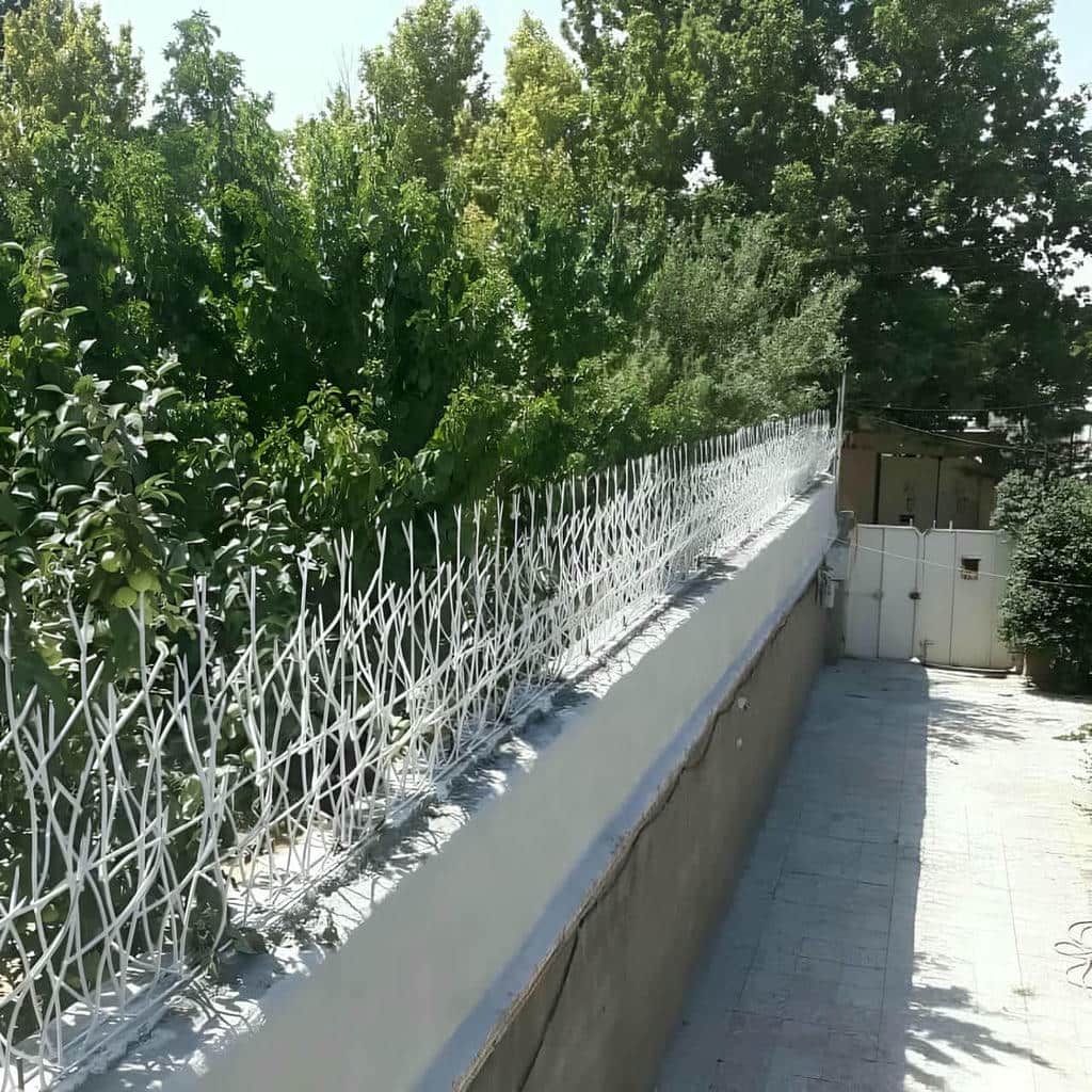 قیمت حفاظ شاخ گوزنی طراحی شاخه ای در ساوه