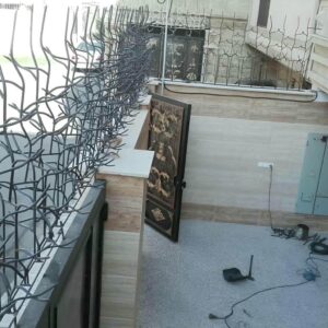 حفاظ شاخ گوزنی در یاسوج