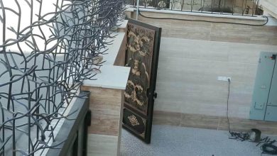 حفاظ شاخ گوزنی در یاسوج