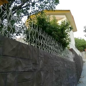 حفاظ شاخ گوزنی در لواسان
