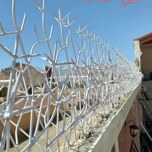 حفاظ شاخ گوزنی در نظرآباد