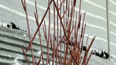 fence-wall-protection-deer-antler-spear-aip