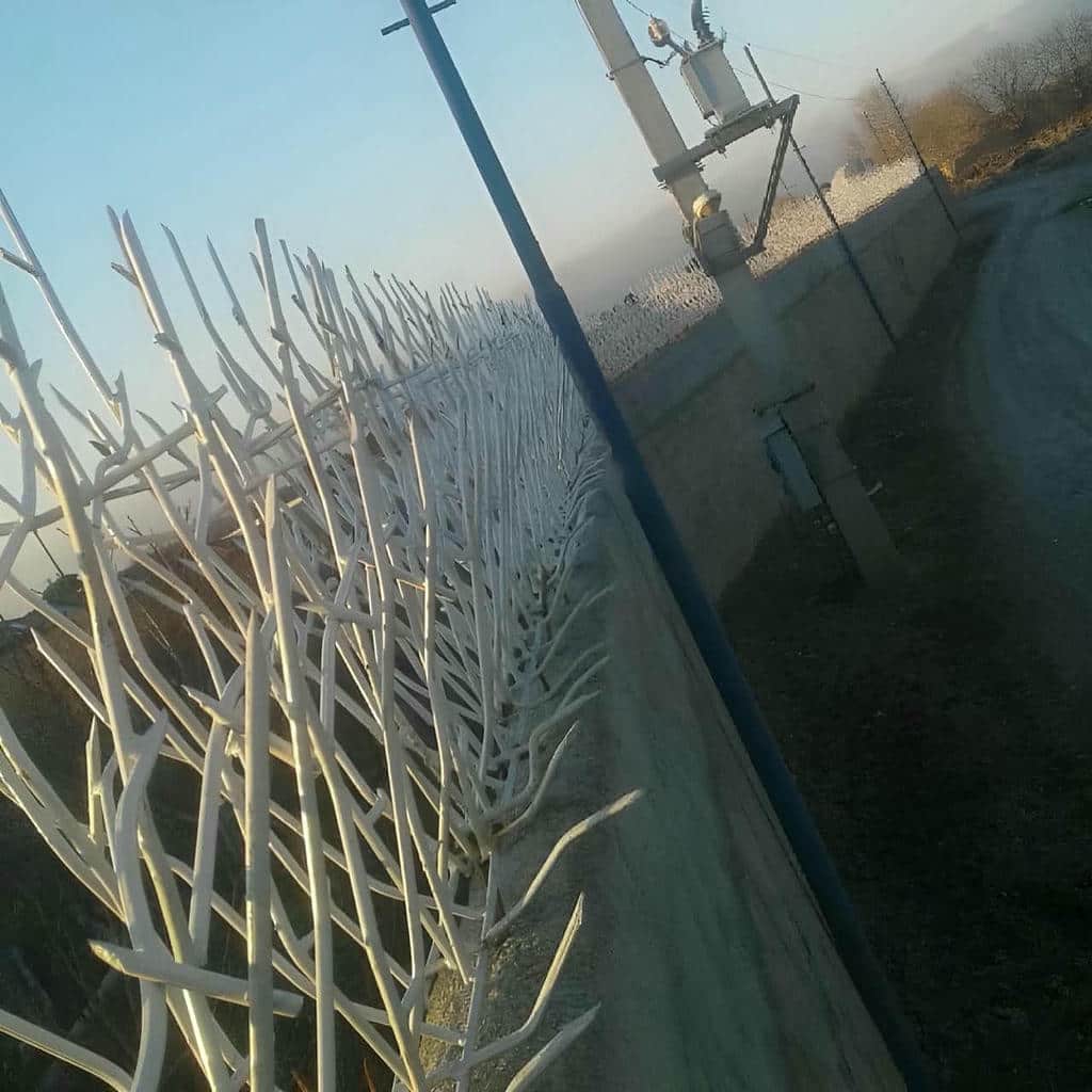 کارخانه حفاظ شاخ گوزنی فولادی در کیش