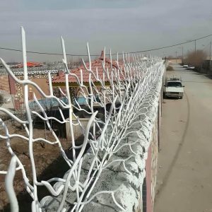حفاظ شاخ گوزنی در استان گلستان