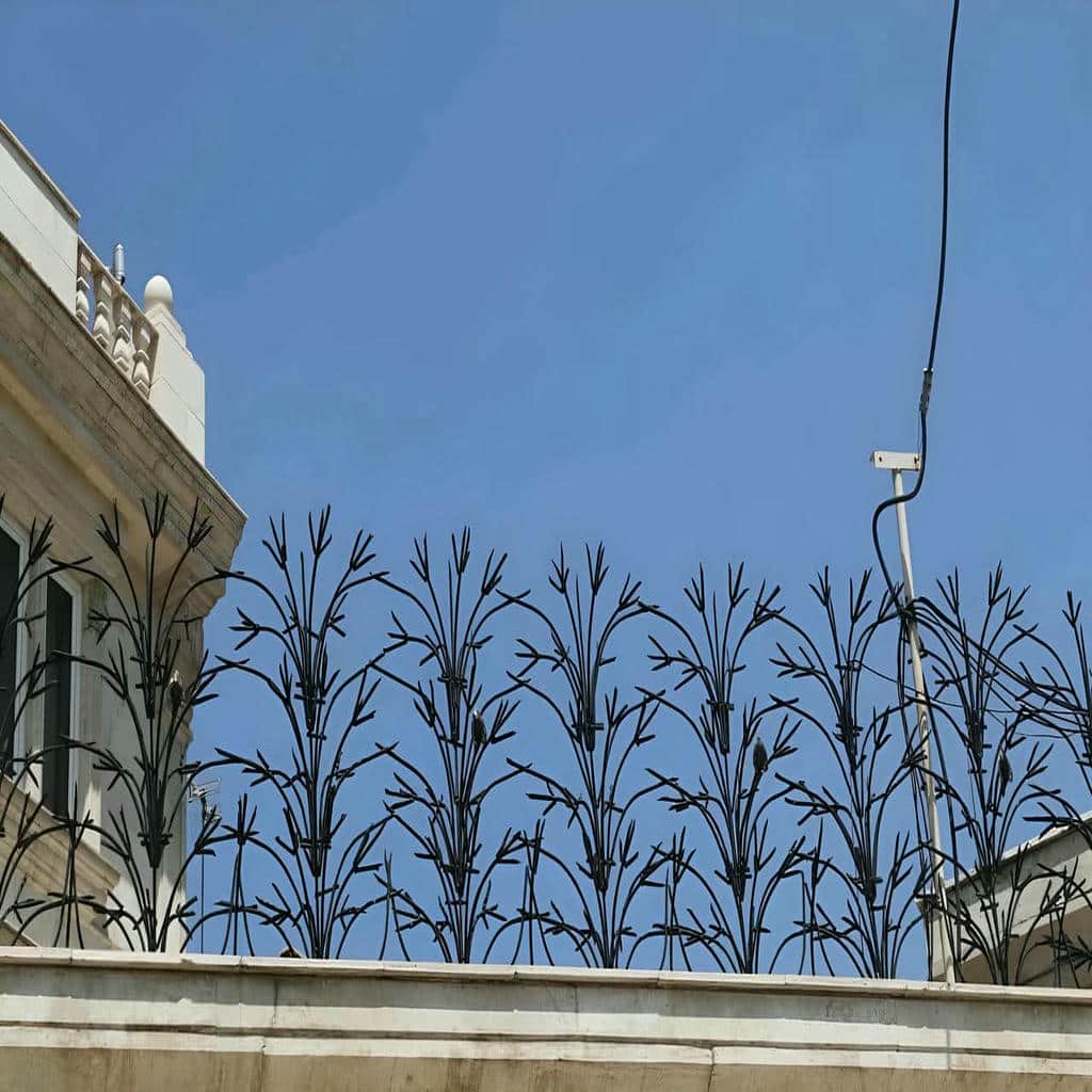 نصب حفاظ شاخ گوزنی نوک تیز در بیرجند