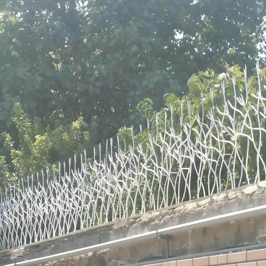کارخانه حفاظ شاخ گوزنی تراکم بالا در نوشهر