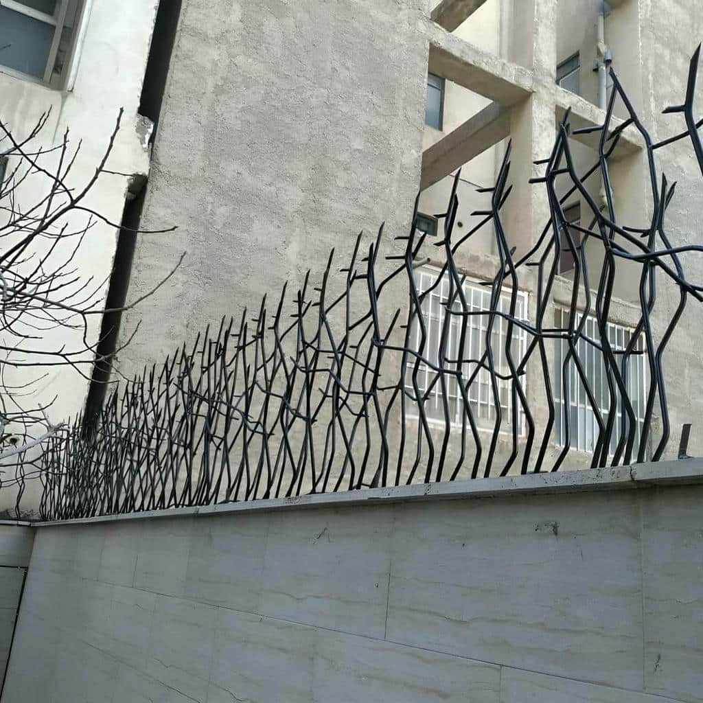 قیمت حفاظ شاخ گوزنی ظاهر نما در ایلام