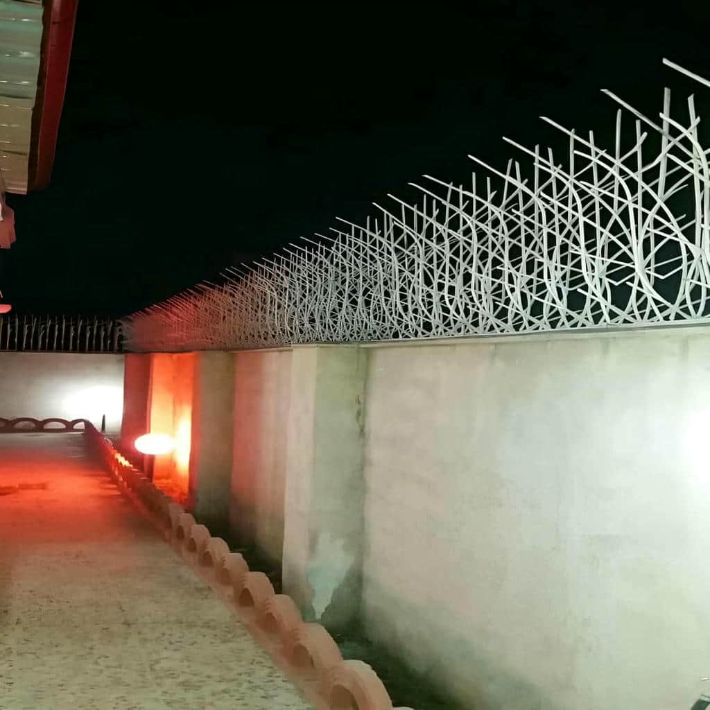 قیمت حفاظ شاخ گوزنی ظاهر نما در ساوه