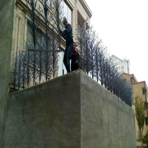 حفاظ شاخ گوزنی در بندر انزلی