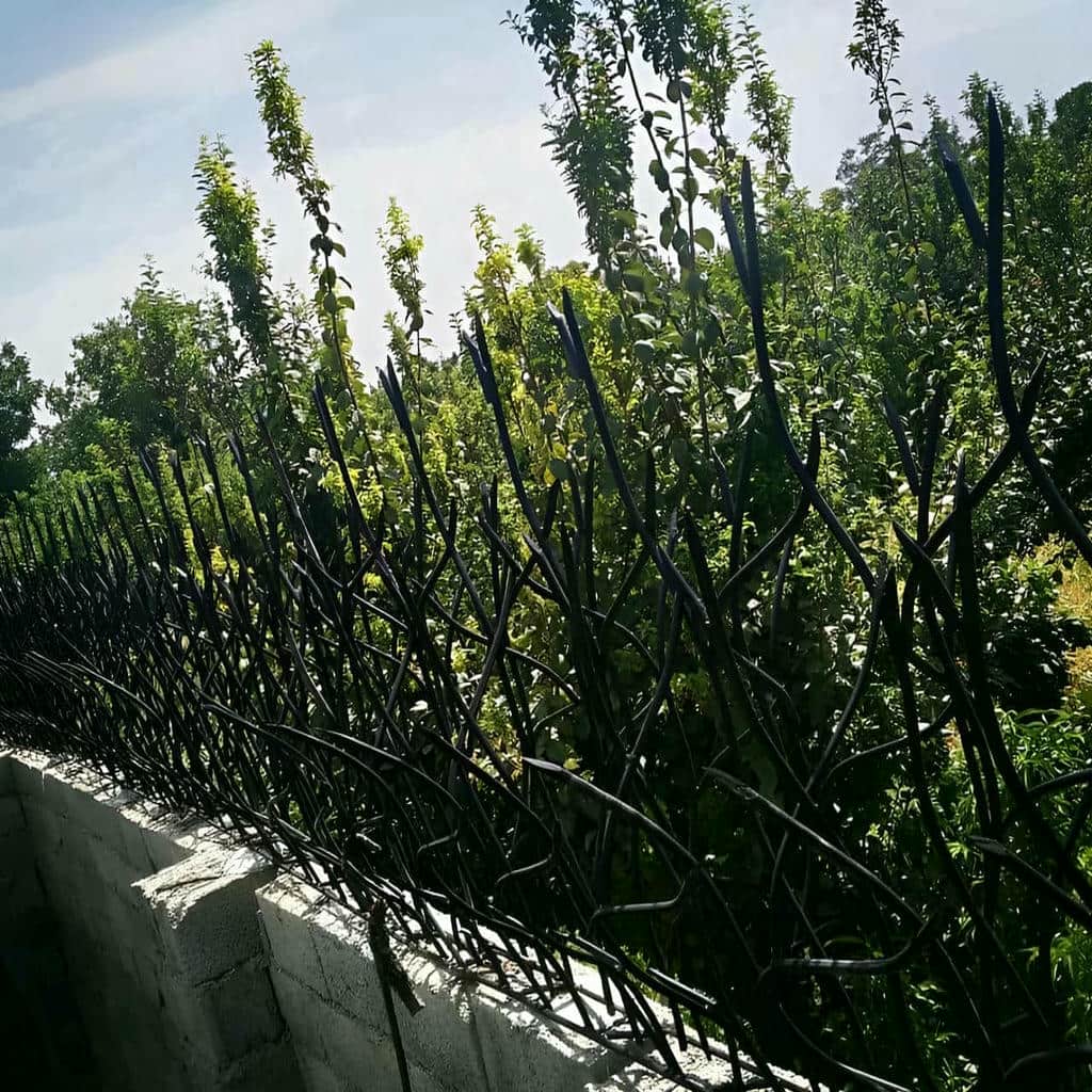 قیمت حفاظ شاخ گوزنی طراحی شاخه ای در کرمانشاه
