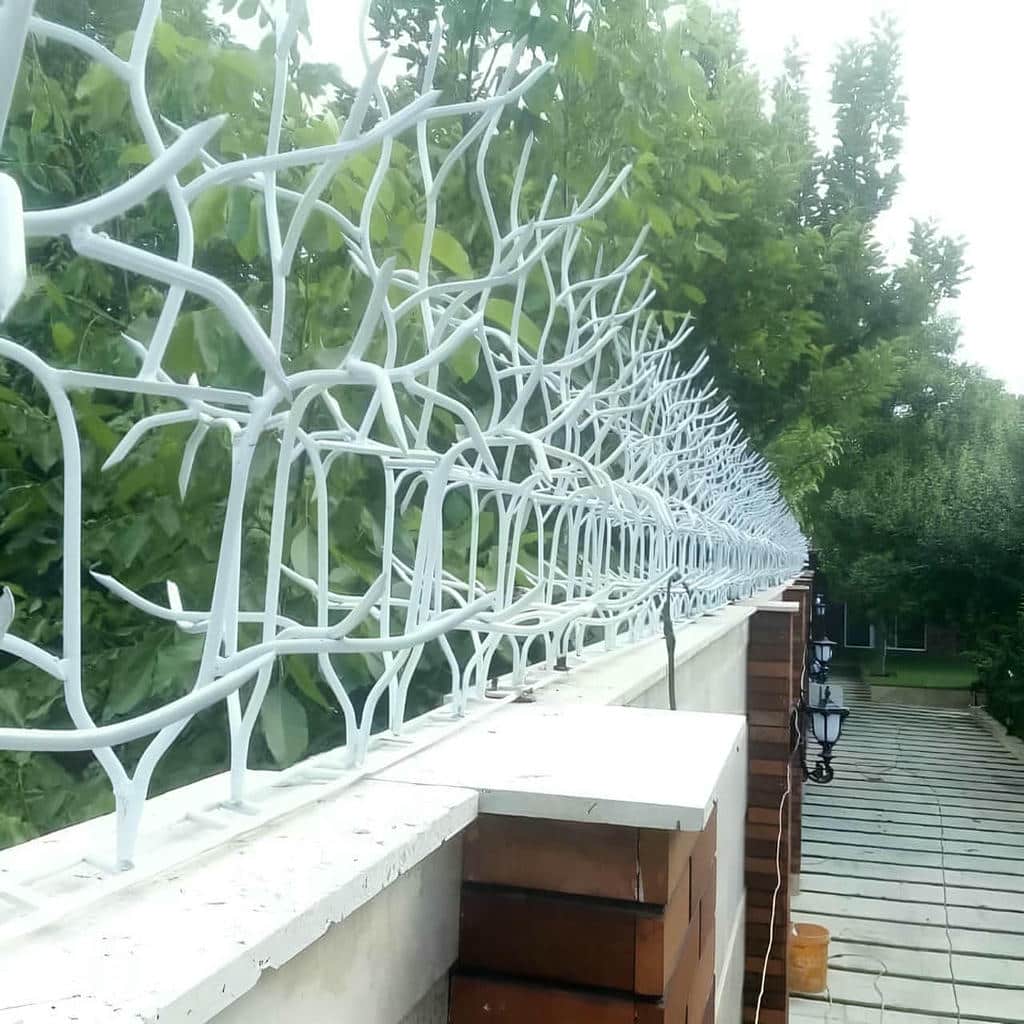 قیمت حفاظ شاخ گوزنی ظاهر نما در همدان