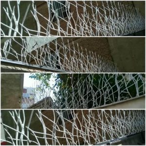 حفاظ شاخ گوزنی در ارومیه