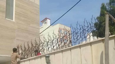 fence-wall-protection-deer-antler-spear-ayu