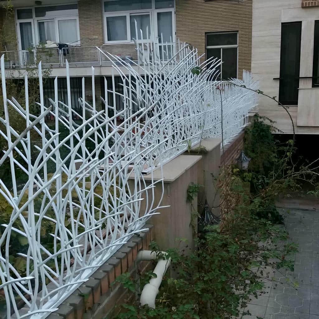 کارخانه حفاظ شاخ گوزنی طراحی شاخه ای در رفسنجان