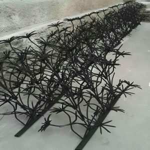 حفاظ شاخ گوزنی در بندر بوشهر