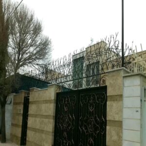 حفاظ شاخ گوزنی در سقز