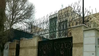 حفاظ شاخ گوزنی در سقز