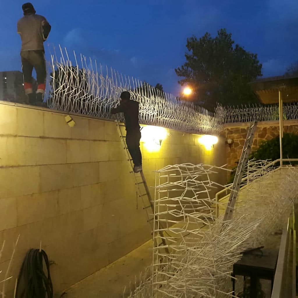 خرید حفاظ شاخ گوزنی شاخه ای در اندیشه