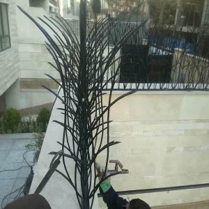 حفاظ شاخ گوزنی در اشتهارد