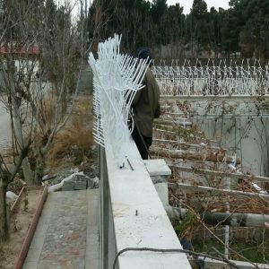 حفاظ شاخ گوزنی در پردیس