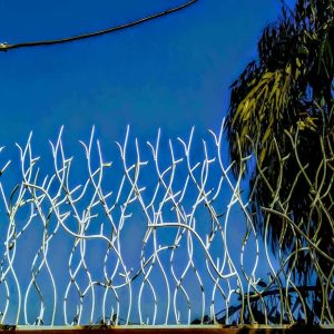 حفاظ شاخ گوزنی در شهرکرد