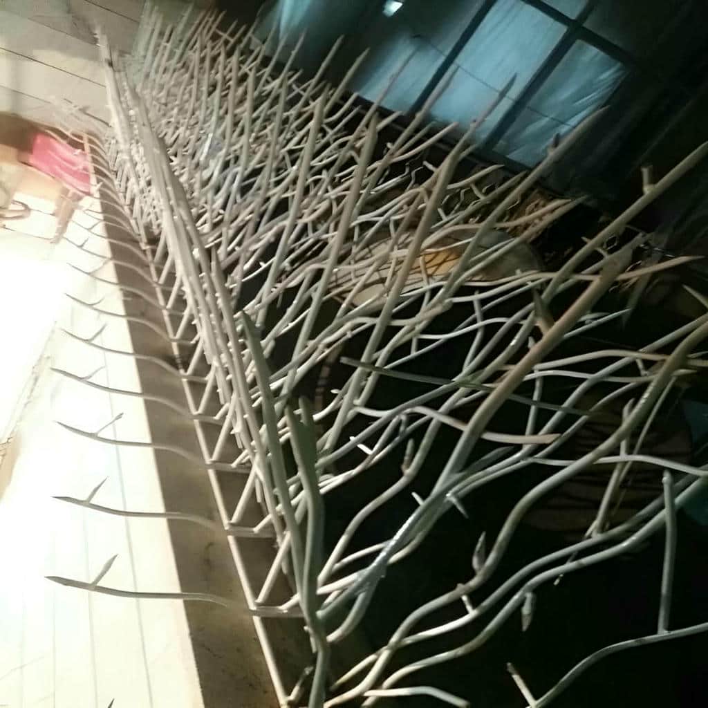 خرید حفاظ شاخ گوزنی طراحی شاخه ای در آبسرد