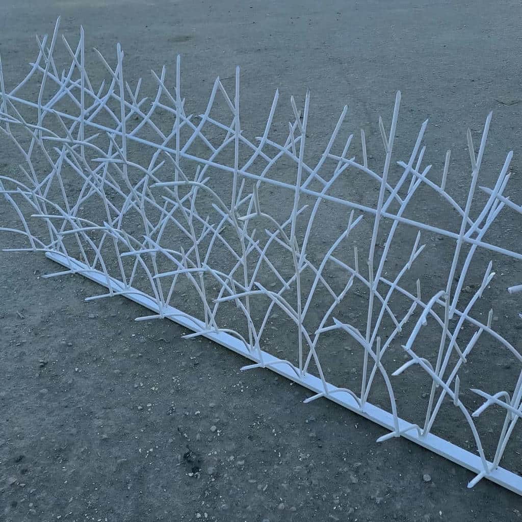 خرید حفاظ شاخ گوزنی برای آپارتمان در قائمشهر خرید حفاظ شاخ گوزنی برای آپارتمان در قائمشهر