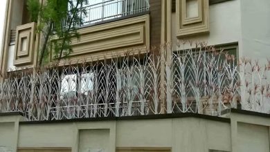 fence-wall-protection-deer-antler-spear-mv