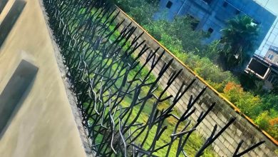 fence-wall-protection-deer-antler-spear-oz