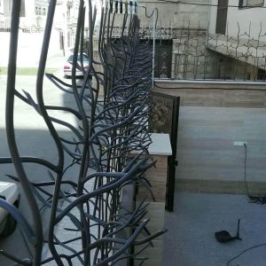 حفاظ شاخ گوزنی در اهواز