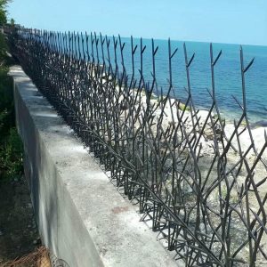 حفاظ شاخ گوزنی در کمال شهر