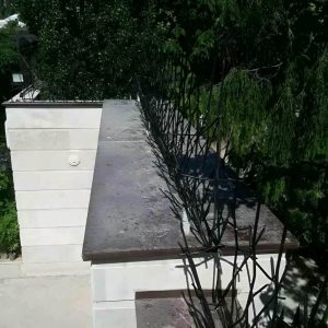 حفاظ شاخ گوزنی در سبزوار