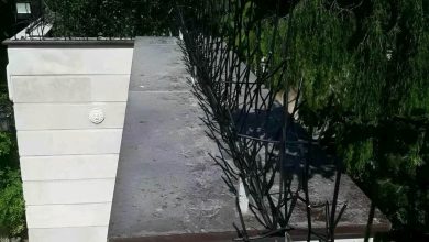 حفاظ شاخ گوزنی در سبزوار