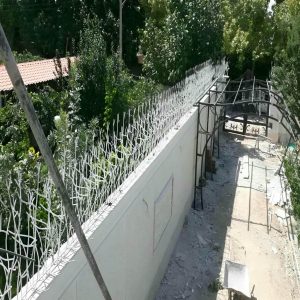 حفاظ شاخ گوزنی در استان خوزستان