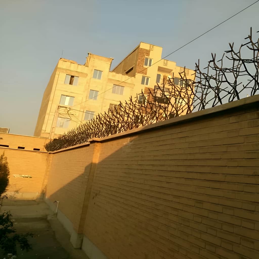 مدل حفاظ بوته ای پرتراکم برای دیوار کوتاه